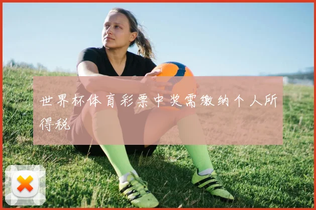 世界杯体育彩票中奖需缴纳个人所得税