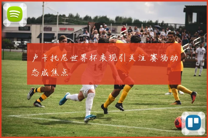 卢卡托尼世界杯表现引关注 赛场动态成焦点